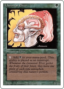 ラノワールのエルフ