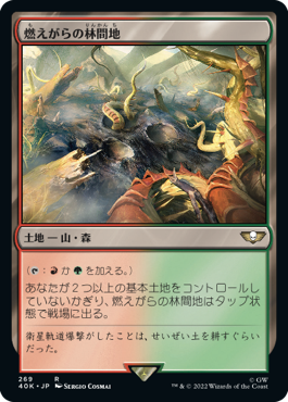 燃えがらの林間地