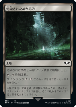 汚染されたぬかるみ