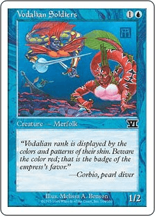 ヴォーデイリアの兵士