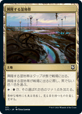 興隆する湿地帯