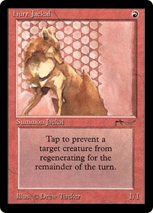 ハール・ジャッカル