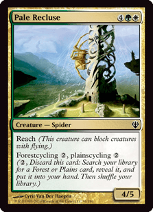 青ざめた出家蜘蛛