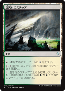 塩汚れのステップ