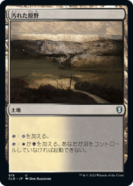 汚れた原野
