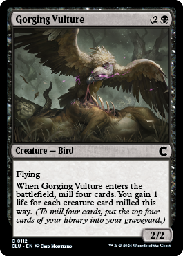 Gorging Vulture