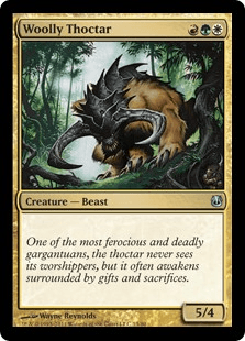 長毛のソクター