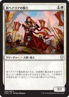 新ベナリアの騎士