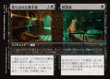 荒らされた地下室 // 解剖室