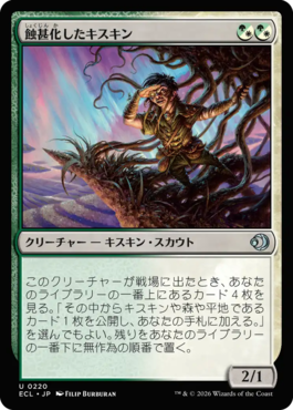 蝕甚化したキスキン