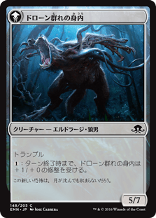 ヴィルディン群れの除けもの