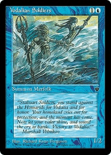 ヴォーデイリアの兵士