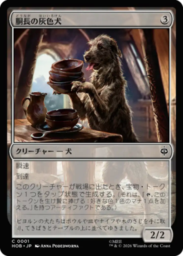 胴長の灰色犬