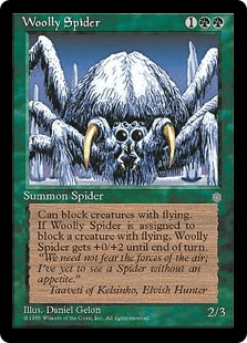 Woolly Spider