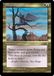 エイスサーの翼