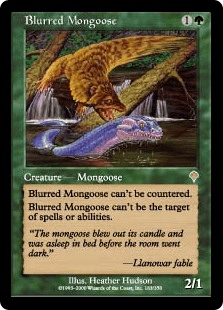 疾風のマングース