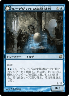 ルーデヴィックの実験材料