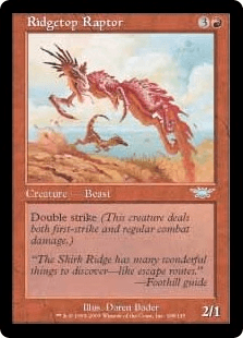 尾根の頂の猛禽