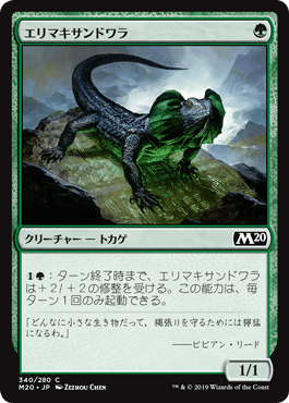 エリマキサンドワラ