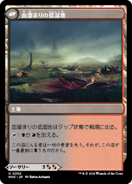 血に染まりし洞察