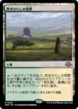 吹きさらしの荒野