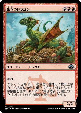 巣立つドラゴン