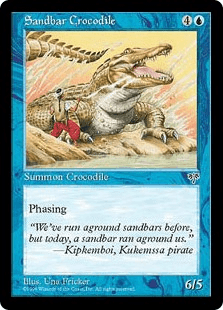 砂州のクロコダイル