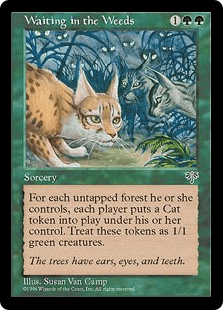 草陰の待ち伏せ