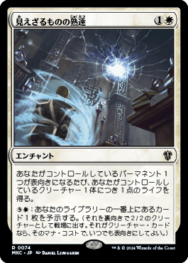 見えざるものの熟達