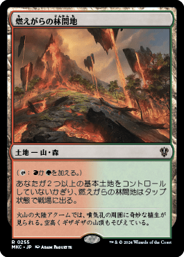 燃えがらの林間地