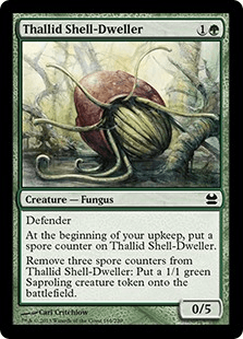 サリッドの殻住まい