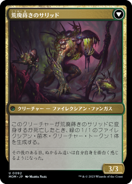 荒廃刈りのサリッド