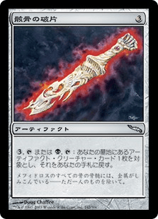 骸骨の破片
