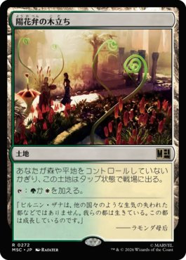 陽花弁の木立ち