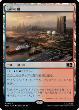 沿岸の頂