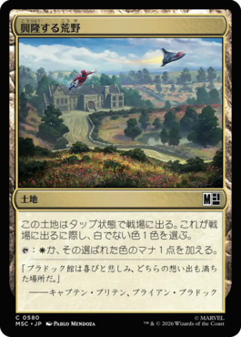 興隆する荒野