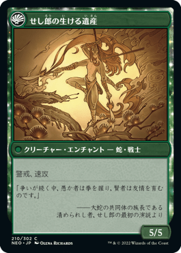 せし郎師匠の伝承