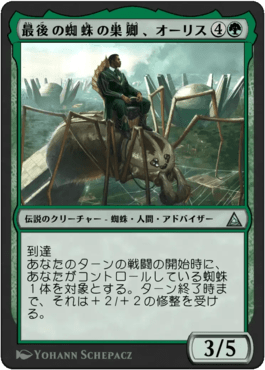 最後の蜘蛛の巣卿、オーリス