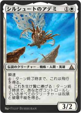 シルシュートのアデミ