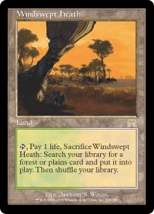 吹きさらしの荒野