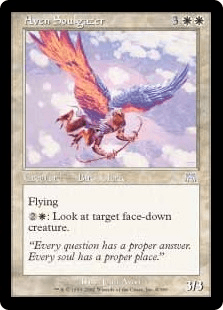 魂を見つめるエイヴン