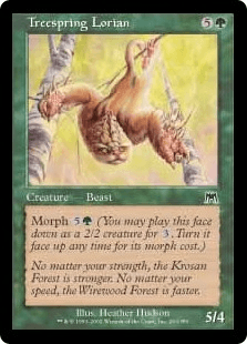 樹を跳ねるロリアン