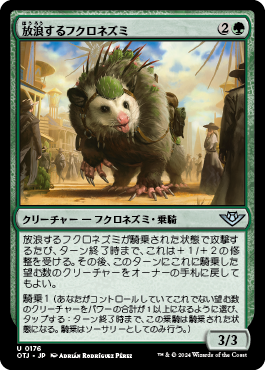 放浪するフクロネズミ