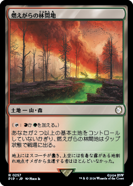 燃えがらの林間地