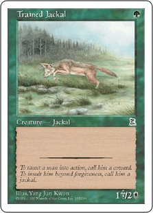 訓練された野犬