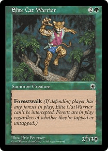 猫族の精鋭戦士