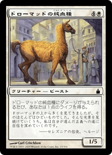 ドローマッドの純血種