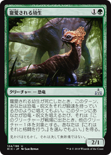 寵愛される幼生