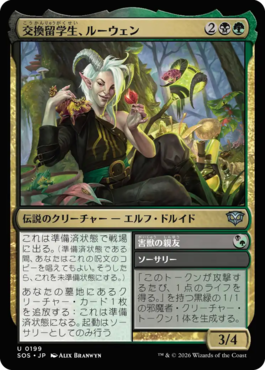 交換留学生、ルーウェン