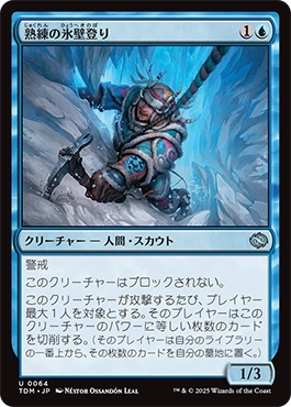 熟練の氷壁登り